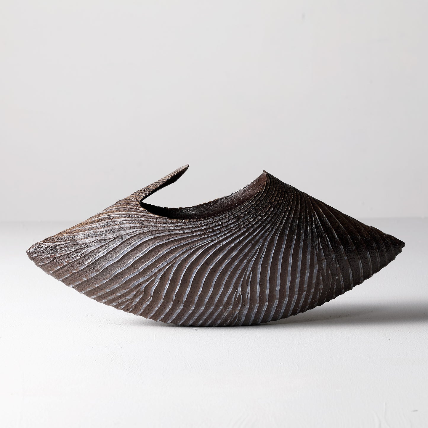 Rahou -Bivalve-