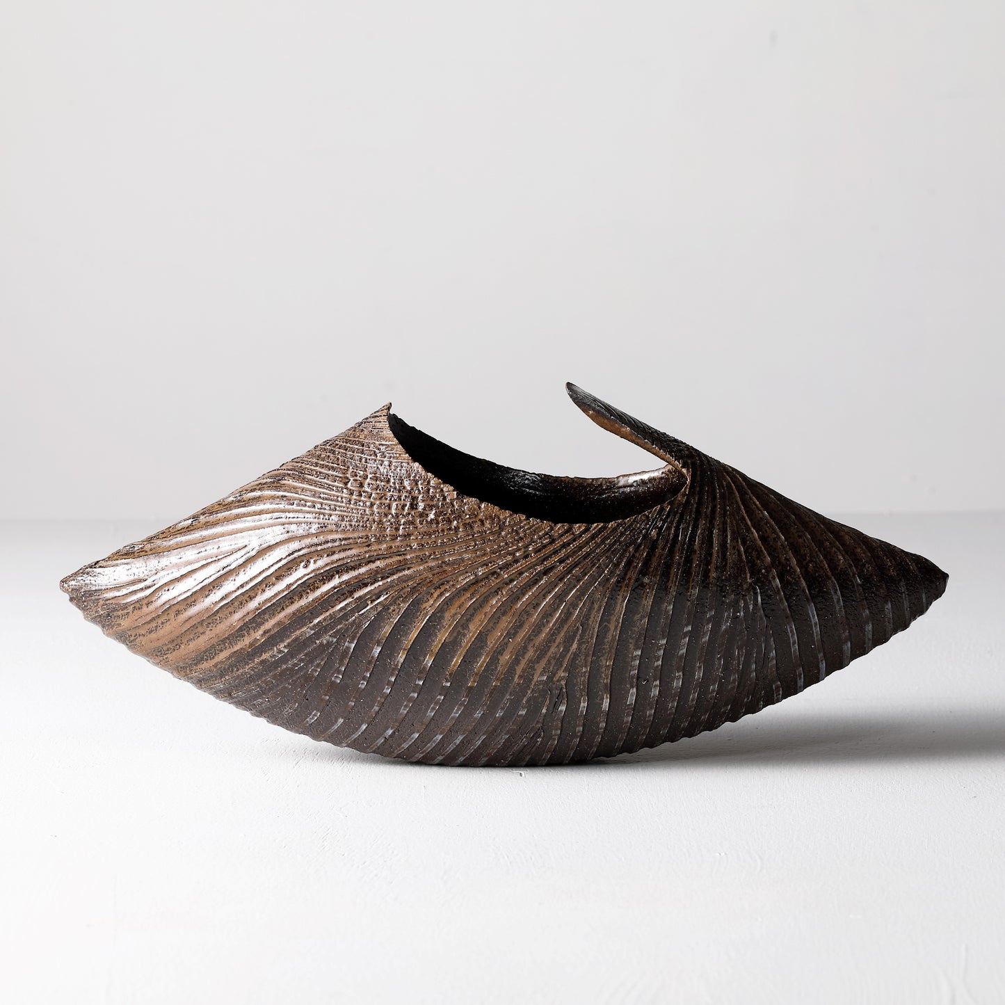 Rahou -Bivalve-